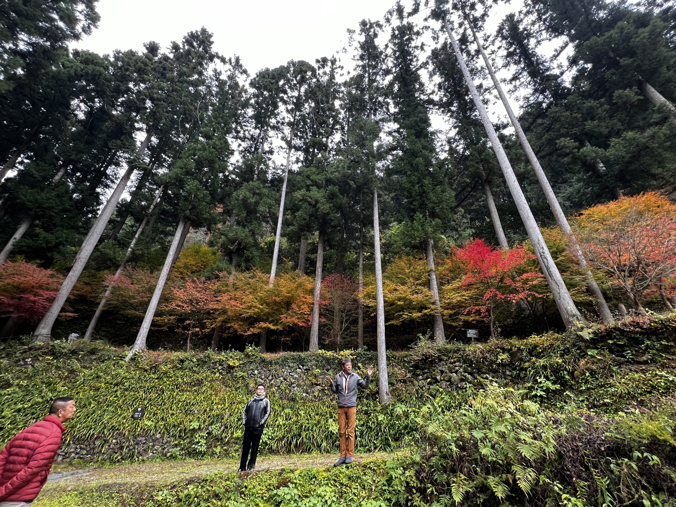 レポート】世界で大注目の山里！徳島県上勝町へ行ってきました – 新島